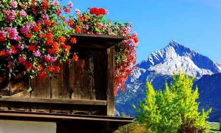 Summer Vacation,Bravaria/Germany - nature, freshness, sky, trees, mountain, wooden, summer