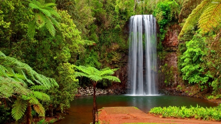 wonderful waterfall - wonderful, fun, nature, waterfall, forest, cool