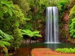 wonderful waterfall