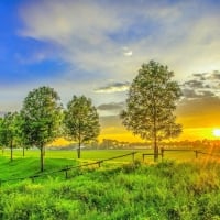 Golden Sunset on the Green Field