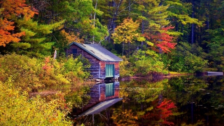 Lake Shore Cabin - trees, pond, cabin, forest, fall, wooden, nature, lake, hut, foliage, cottage