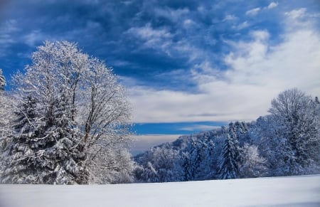 Winter landscape - clouds, trees, hills, winter, beautiful, snow, landscape, slope, forest, mountain, view, cold, frost, sky