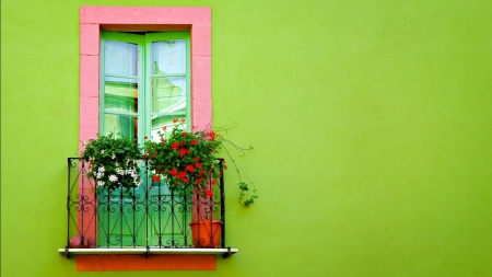 39 - green, nice, window, wall