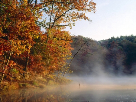 Misty Lake - misty, lake, trees, nature