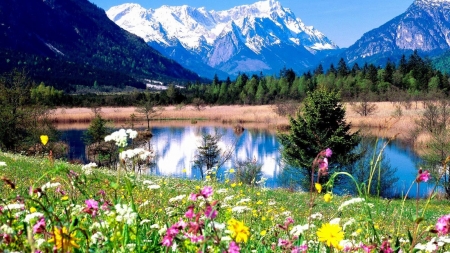 Spring Landscape - flowers, trees, nature, snow, lake, spring, mountain