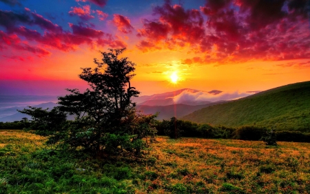 Sunset Over the Mountain - clouds, trees, sunset, nature, landscape, mountain