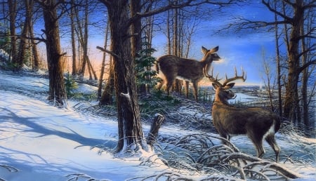 Night Watch - winter, attractions in dreams, paintings, snow, night, xmas and new year, forests, nature, deer, white-tailed deer, love four seasons, animals