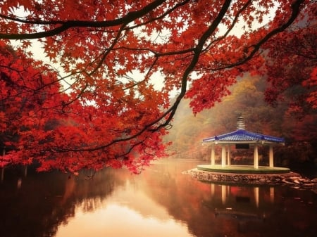 Autumn Morning Scenery - trees, water, morning, leaves, fall, nature, autumn, red, mist, lake