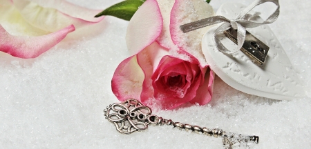 Rose - white, flower, rose, pink, key, valentine, heart