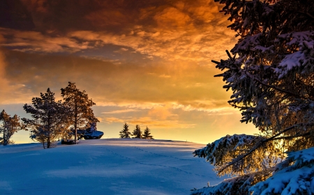 Winter Scenery - winter, nature, snow, sun