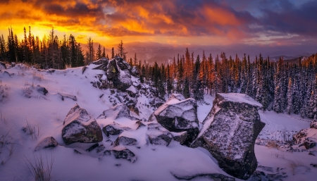 Amazing Colors Of Winter - clouds, firs, colors, mountains, sky