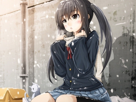 K-ON! - tsumugi, neko, female, snowflakes, anime girl, anime art, snow, cats, anime, kon, cute