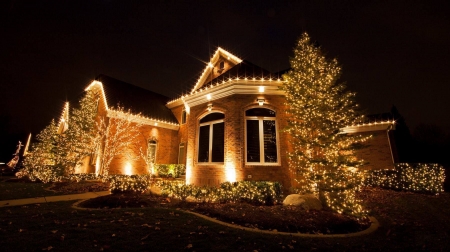 Christmas House - night, tree, december, lights