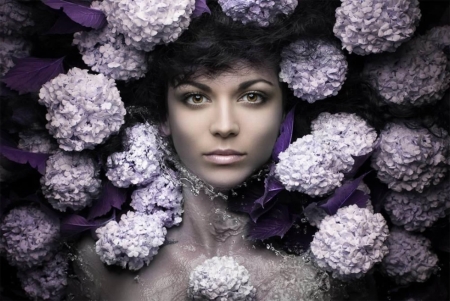 Beauty - evgeni kolesnik, woman, face, girl, pink, hydrangea, model, flower