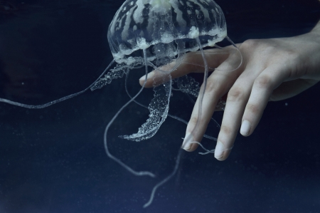 Soft touch - summer, jellyfish, hand, marta bevacqua, blue, underwater