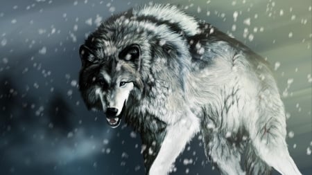 Lone Wolf - white, animal, winter, wolf, snow