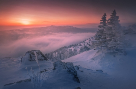 Sunset at winter - winter, sunset, snow, sun