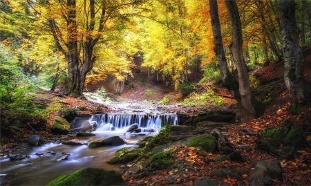 waterfall - nature, fall, autumn, forest, waterfall