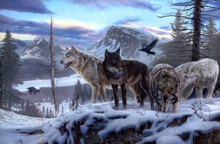 WARRIORS OF THE NORTH WOODS - WOLVES, FOREST, MOUNTAINS, SNOW, BIRDS, ANIMALS, WINTER