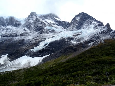 Icy Mountains - forest, mountains, ice, cloudy, snow