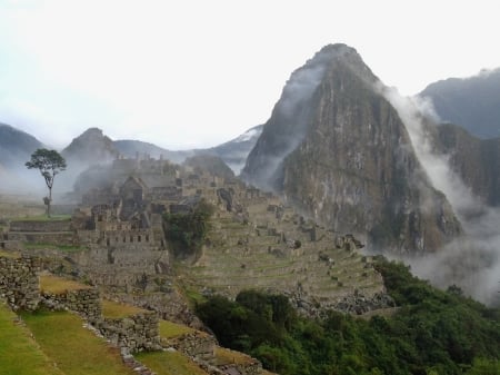 Foggy Macchu Picchu - clouds, fog, forest, mountains, ruins