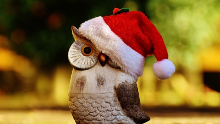 Christmas owl - hat, bird, bufnita, christmas, owl, santa, white, craciun, red, figurine