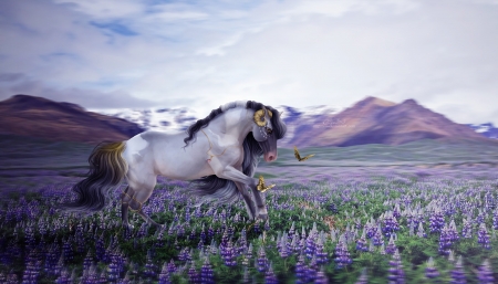 Fantasy horse - ram, flower, horse, horns, fantasy, purple, field, ellipsiem, art, luminos