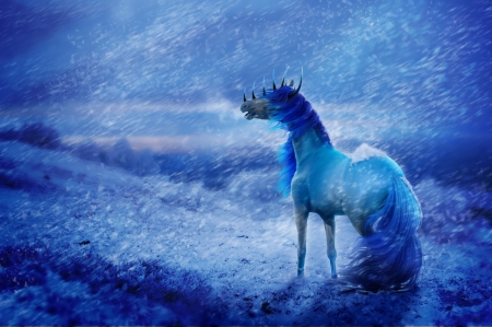 Fantasy horse - fantasy, winter, blue, snow, art, ellipsiem, horse, luminos