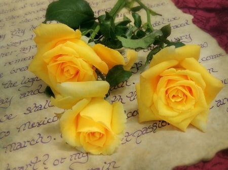 Roses - trandafir, letter, yellow, paper, rose, flower