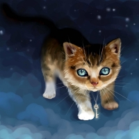 Celestial kitten