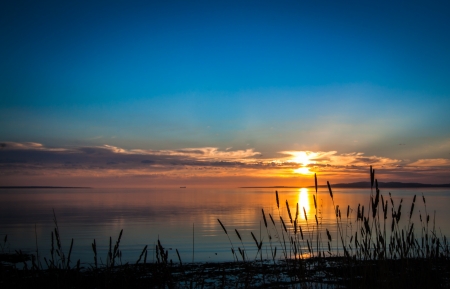 Sunset at Port Lincoln - clouds, shore, sunset, nature, reeds, landscape, sea