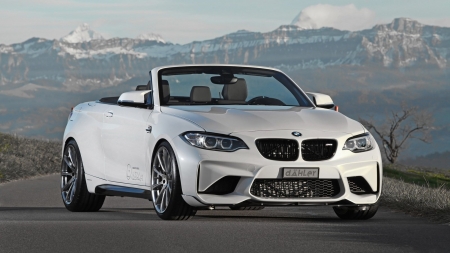 2017 BMW M2 Convertible by D�hler Design & Technik GmbH - Conv, Beamer, 2017, White