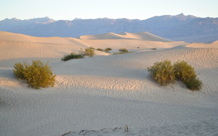 Death Valley - dunes, desert, Death Valley, National Park