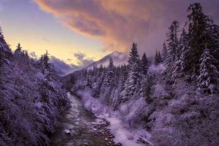 River - cloud, sky, river, tree, nature