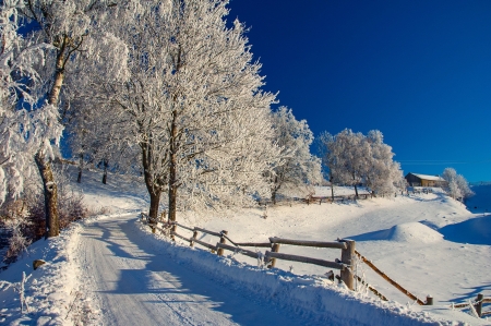 Fantastic winter lanfdscape - fence, sky, trees, landscape, winter, road, cold, snow, beautiful, frost, fantastic