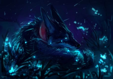 Night wolf