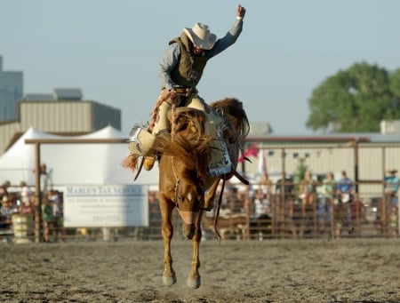 Rodeo - rodeo, ride, cowboy, horse