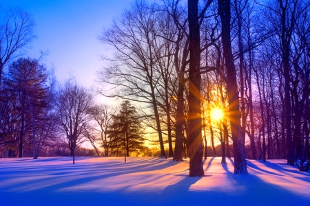 Winter sun - purple, winter, glow, landscape, rays, beautiful, frost, sun, trees, colors, park, snow, cold