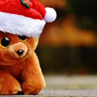 Santa Teddy