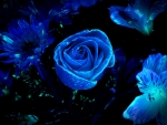 Blue Floral Backgrounds