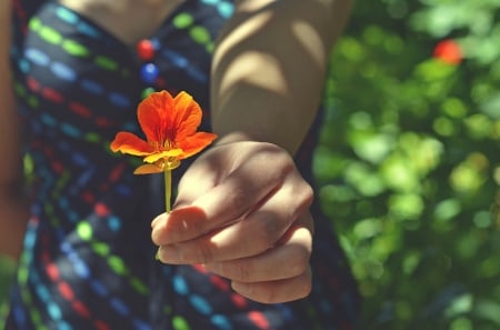 For you! - hand, summer, blue, green, orange, flower