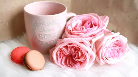 Sweet home - trandafir, pink, rose, cookies, flower, cup