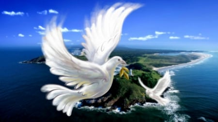 Peace in the world - animal, dove, peace, earth