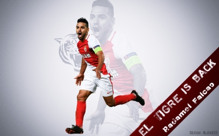 Radamel Falcao is back in form - back, el, is, tigre