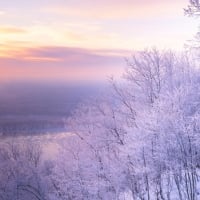 Soft Winter Sunrise