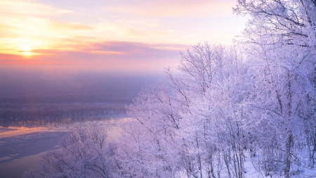 Soft Winter Sunrise - trees, winter, snow, sunrise, forest, valley, Firefox Persona theme, sunset, soft, pastels