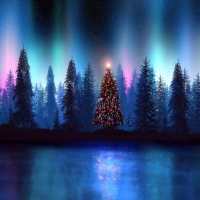 Magical tree line