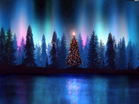 Magical tree line - christmas, colors, trees, sky