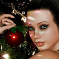 Christmas Beauty