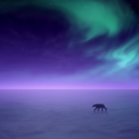 Polar Bear on Aurora Borealis Winter Night